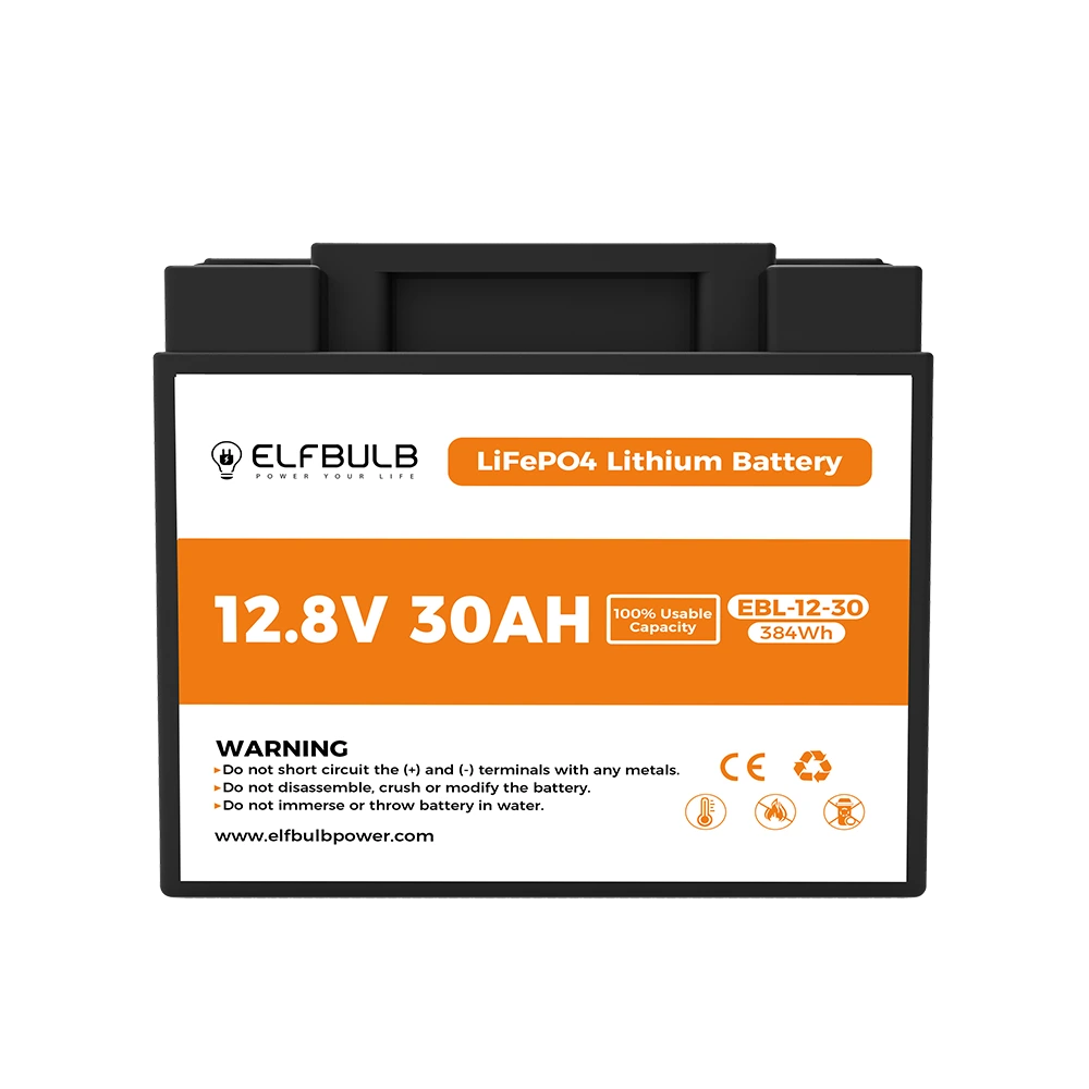 12V 24V Lithium Battery (3)
