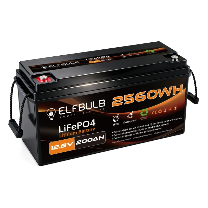 Lithium Ion Phosphate Battery 24V 100AH For RV
